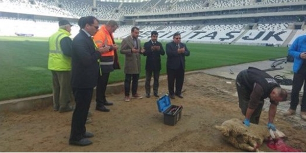 Leman Sam bu habere çıldırabilir