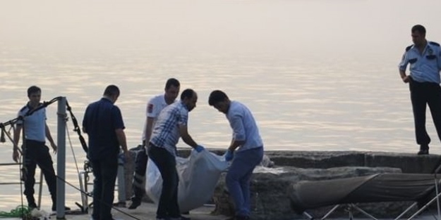 Beşiktaş'ta denizde ceset bulundu