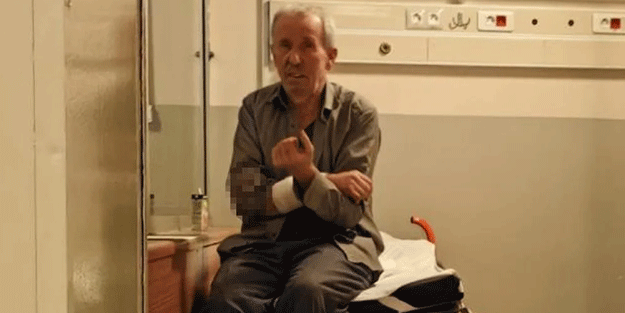 Beslediği köpek kolunu parçaladı!