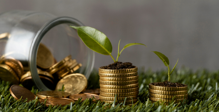 BES'te kısmen ödeme uygulamasının başvuru şartları belirlendi