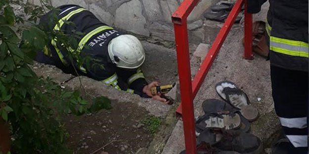 Beton boruya sıkışan yavru köpekler kurtarıldı