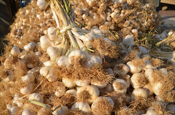 Beyaz altın pazara indi... İşte fiyatı!