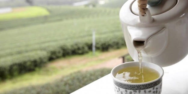 Beyaz çayın bilinmeyen yararları