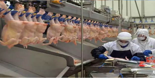 Beyaz et firması resmen devlete kafa tutuyor!