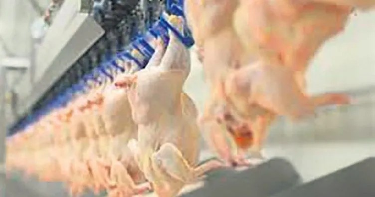 Beyaz et üreticilerinden fiyat iddialarına yanıt!