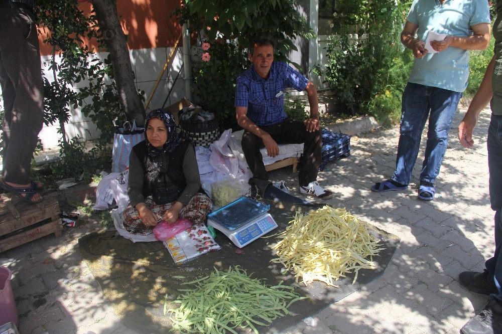 Beyaz fasulyesinin kilosu 10 TL 