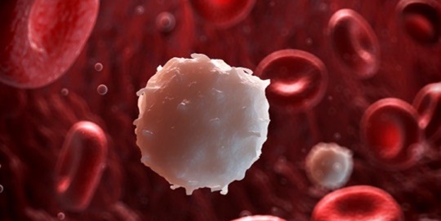 Beyaz kan hücreniz eksik olabilir! İşte belirtileri...