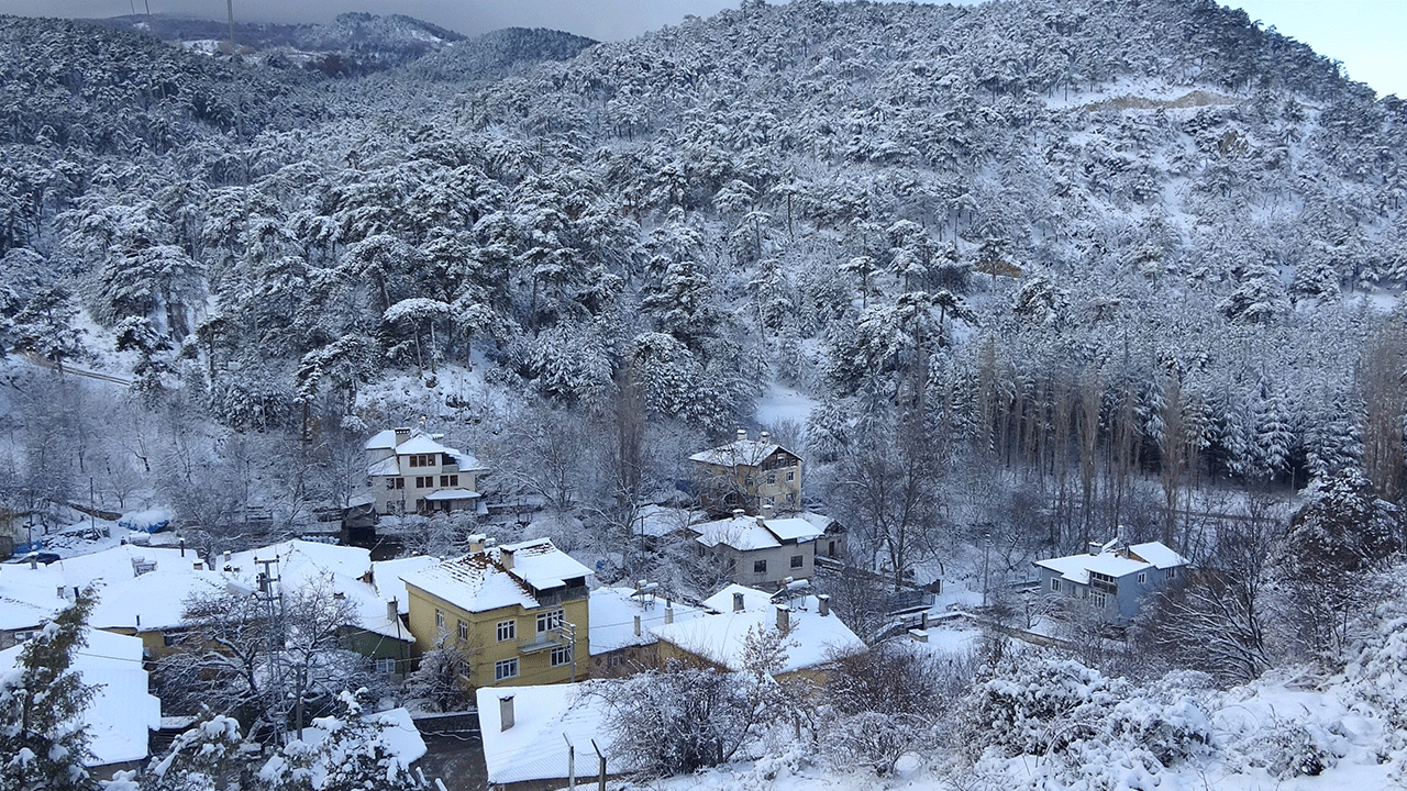 Beyaz örtüyle büyüleyen çam ağaçları!