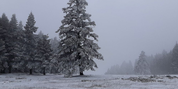 Beyaz örtüyle kaplanan Abant'ta kartpostallık muhteşem kareler