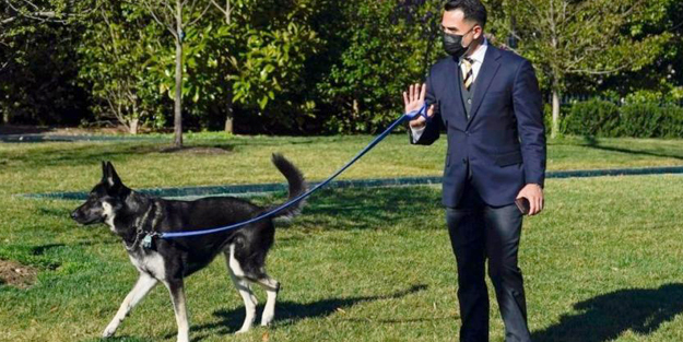 Beyaz Saray'da Biden'ın 'Binbaşı'sı dehşet saçtı!