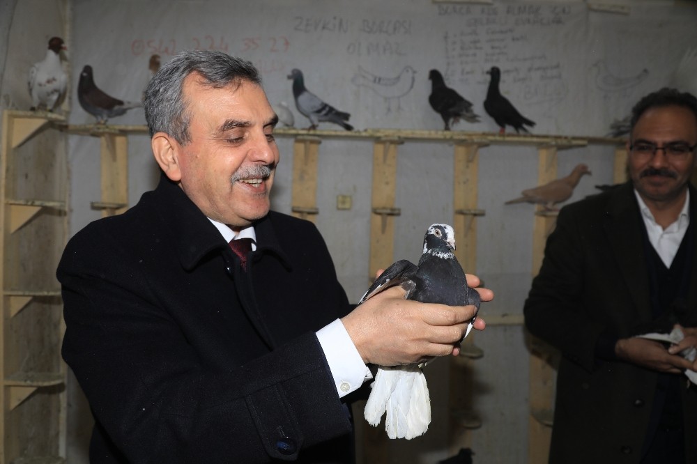 Beyazgül, kuşçular esnafını ziyaret etti 