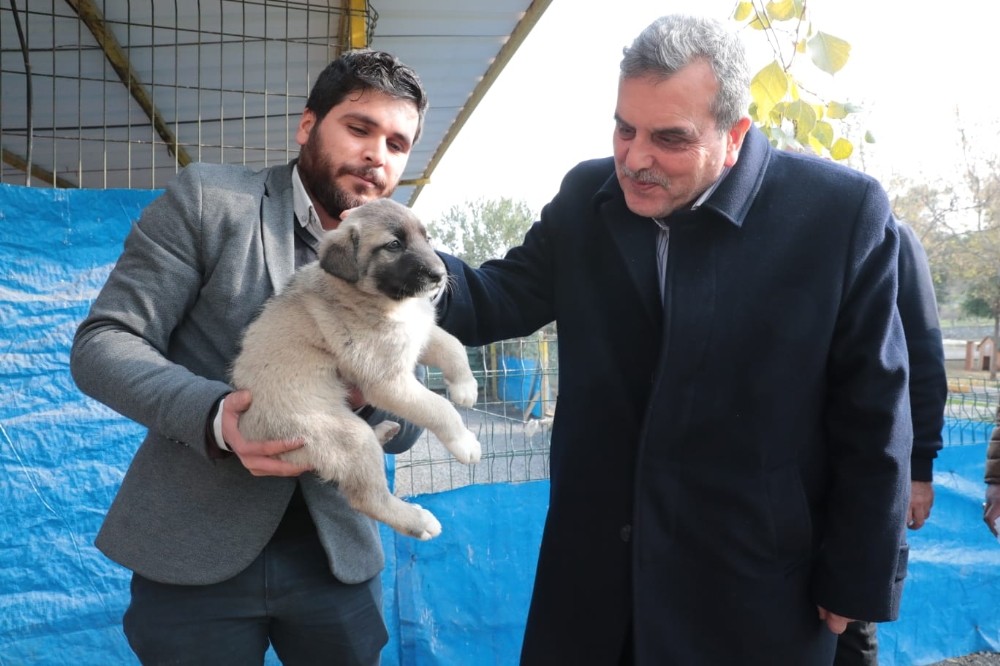 Beyazgül’den hayvanseverlere davet 