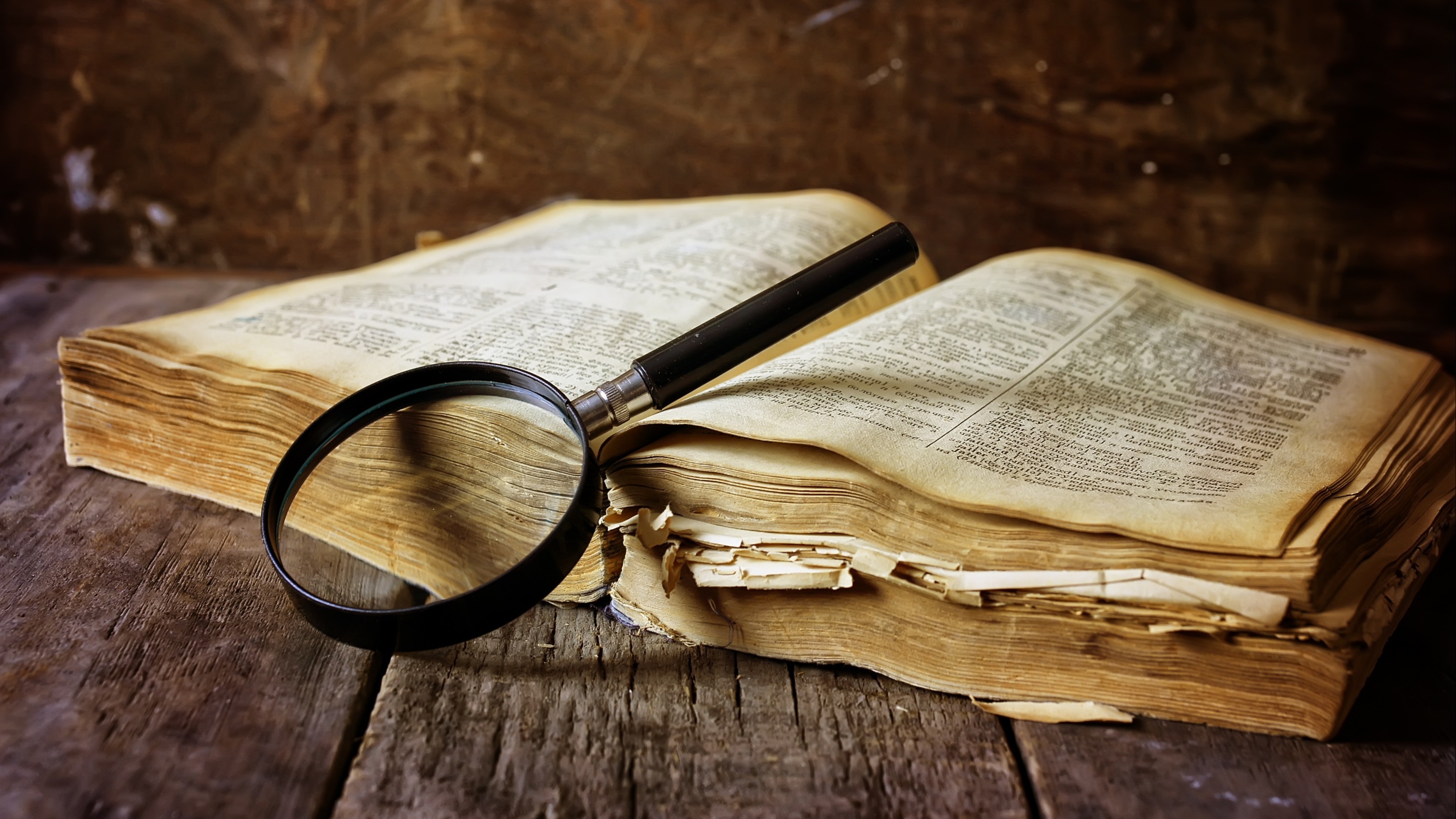 Beyhude yere deyimi ne anlama geliyor?