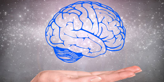 Beyin aktivitesini güçlendiren bitkiler