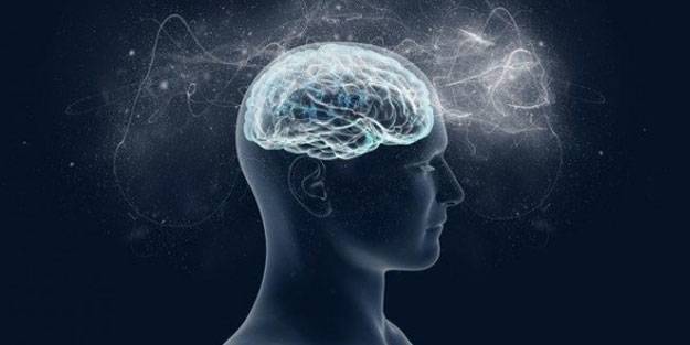 Beyin fonksiyonlarına zirve yaptıran 10 besin