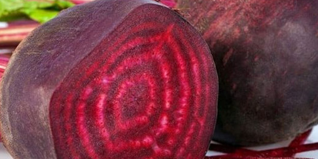 Beyin işlevlerini yenileyen tek yiyecek! Dünyada kullanılan beta vulgaris her zaman değerleniyor
