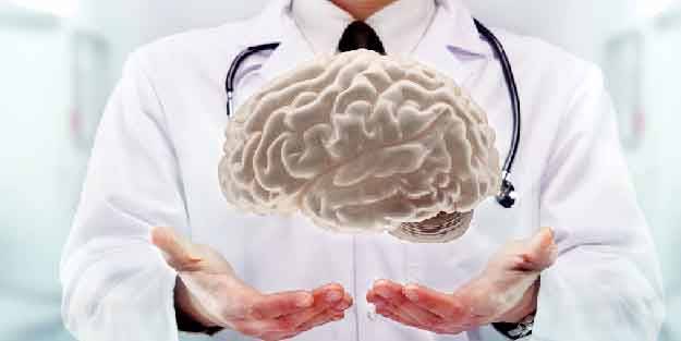 Beyin ve sinir sistemi için en faydalı 6 besin