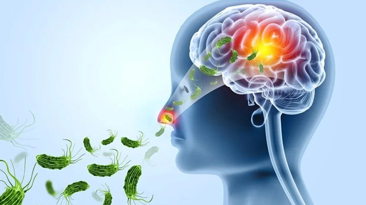 Beyin yiyen virüs 19 kişiyi öldürdü!