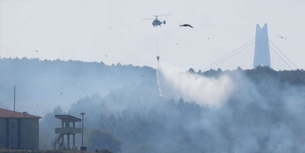 Beykoz Riva'da orman yangını!
