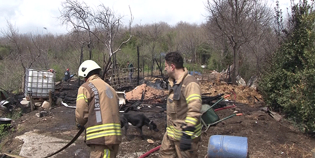 Beykoz’da ahır yandı, 2 hayvan telef oldu