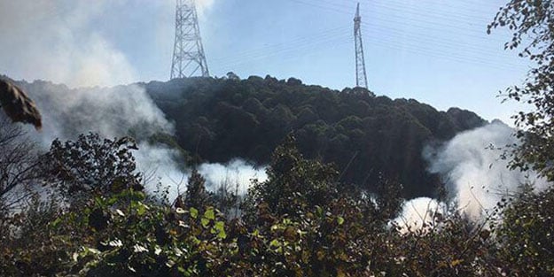 Beykoz'da korkutan orman yangını