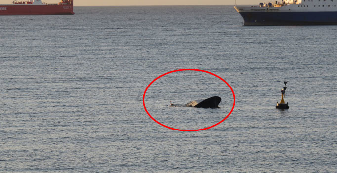 Beylikdüzü Kavaklı Sahili açıklarında bir tekne battı: 1 kayıp