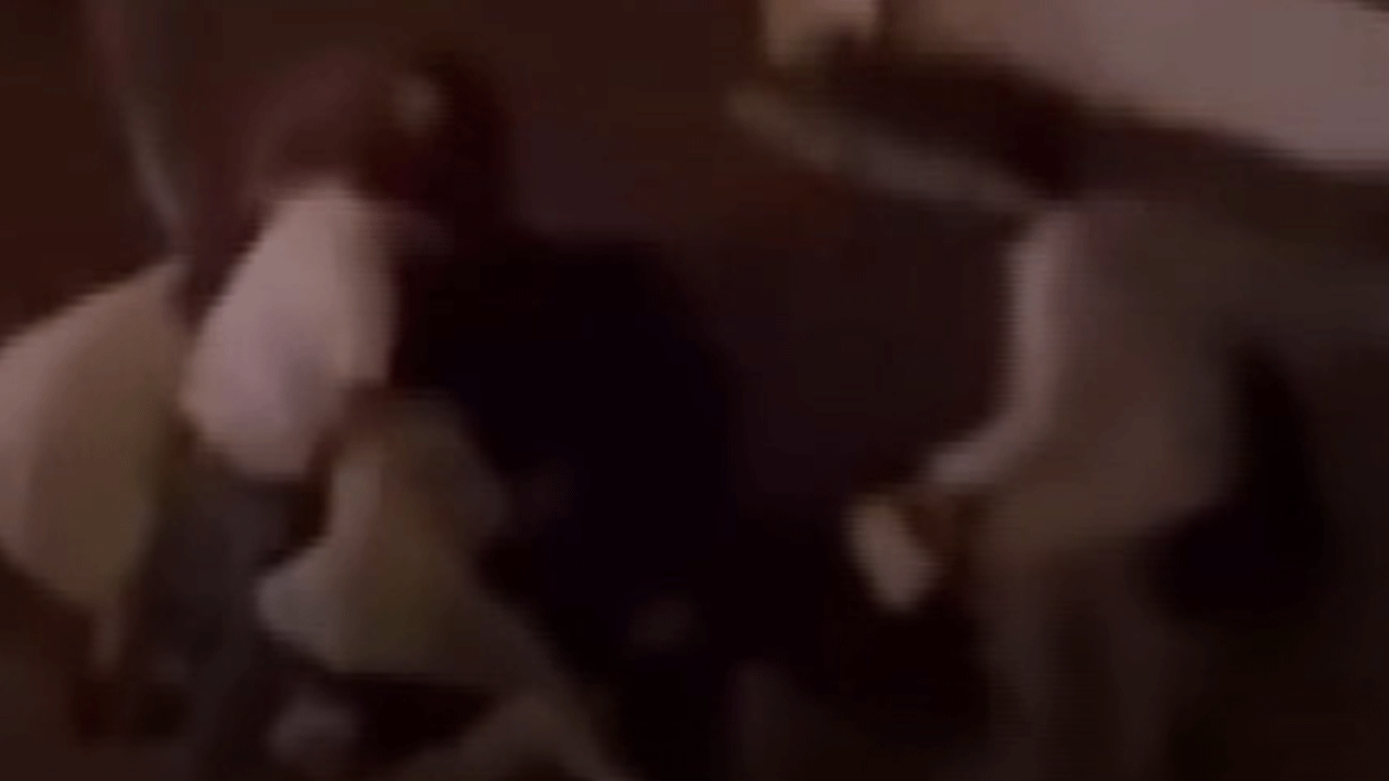 Beylikdüzü'nde iki grubun kavgası kameraya yansıdı!