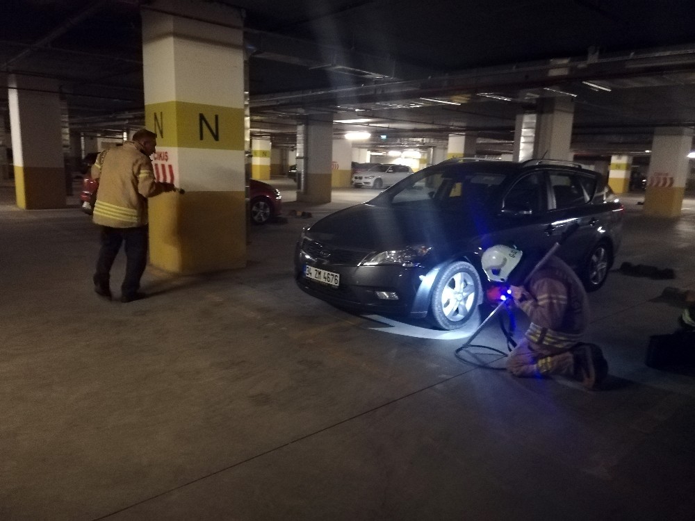 Beylikdüzü’nde lüks sitede yılan paniği 