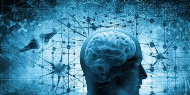 Beyne, hafızaya ne iyi gelir? Beyni koruyan ve unutkanlığı yok eden 11 besin! Beyin gelişimine iyi gelen şeyler