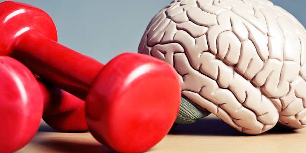 Beyni güçlendiren kısa tavsiyeler, iyi gelen besinler