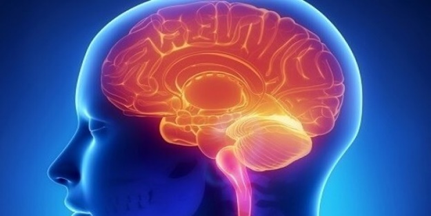 Beyni tüketen gıdalar açıklandı... İşte o 13 besin