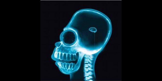 En fazla değişime uğrayan bölgeleri tespit edildi