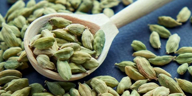 Beynin yaşlanmasını önlüyor! Kendi minik faydaları büyük: O besin güvenli, belli oldu! Bakın ne işe yarar...