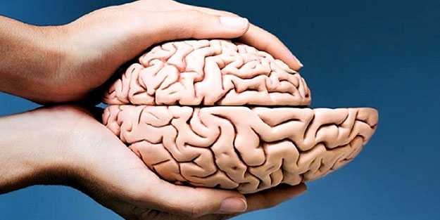 Beyninizin tüketmek istediği 8 besin