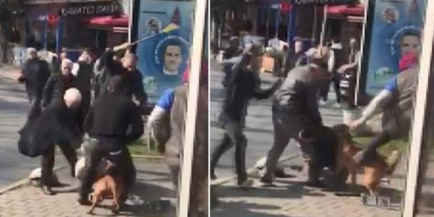 'Sahibini uyardığım an da kendimi yerde buldum'
