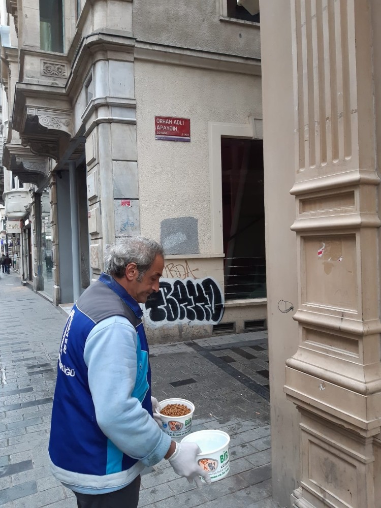 Beyoğlu’nda sokak hayvanları unutulmadı 