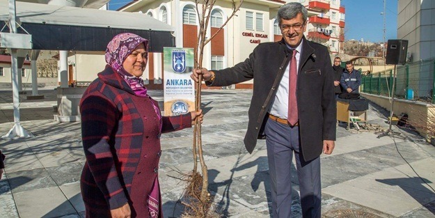 Beypazarı’nda 12 bin meyve fidanı dağıtıldı