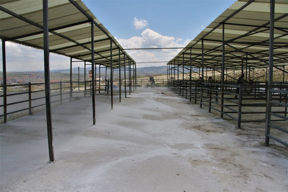 Beypazarı’nda sinek ve uçkunlarla mücadele sürüyor 