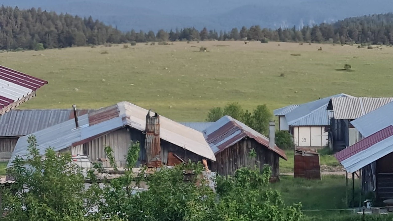 Beypazarı'nda yılkı atları kameralara yansıdı