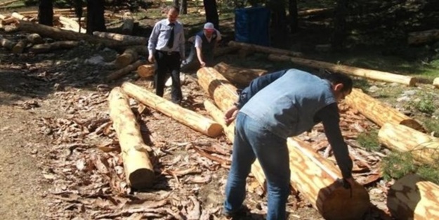 Beyşehir orman köylüsü yılda 3 milyon TL kazandı