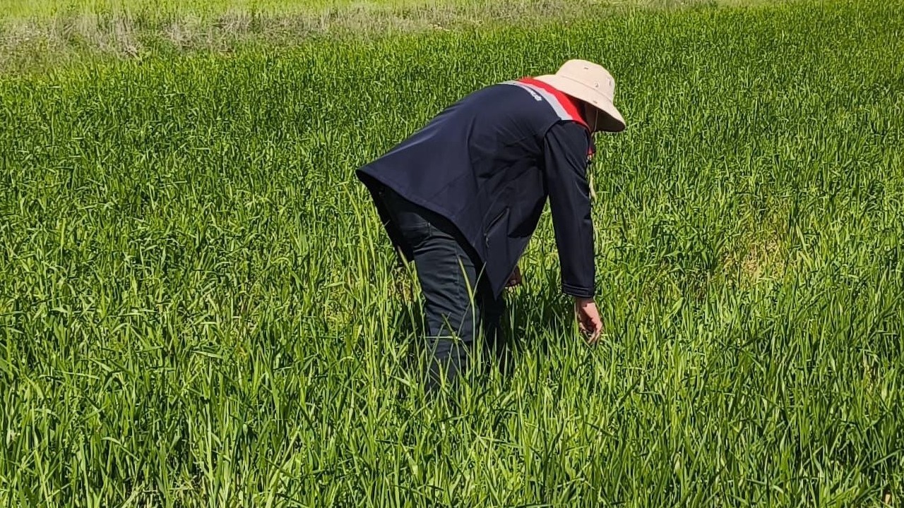 Beyşehir’de tarım alanlarında denetimler sürüyor