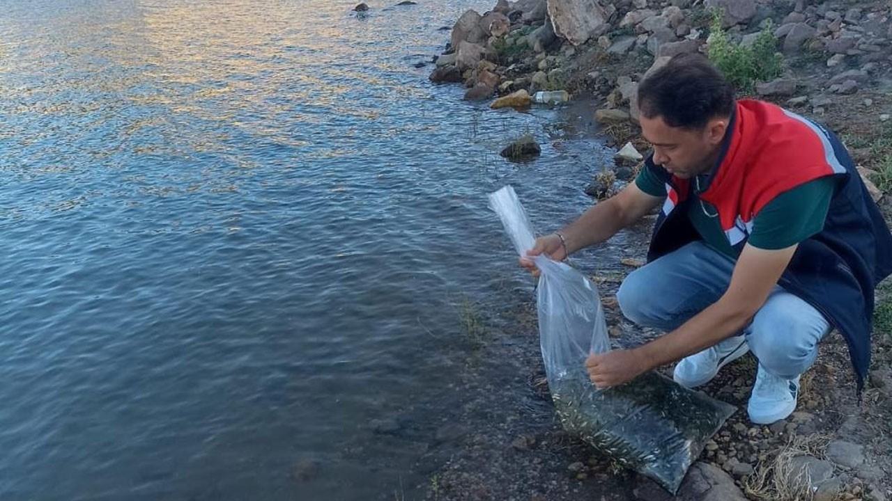 Beyşehir'deki göletlere 