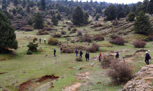 Beyşehirli doğaseverlerden 