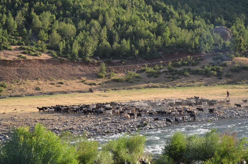 Beytüşşebap Kürtçe kliple tanıtıldı 