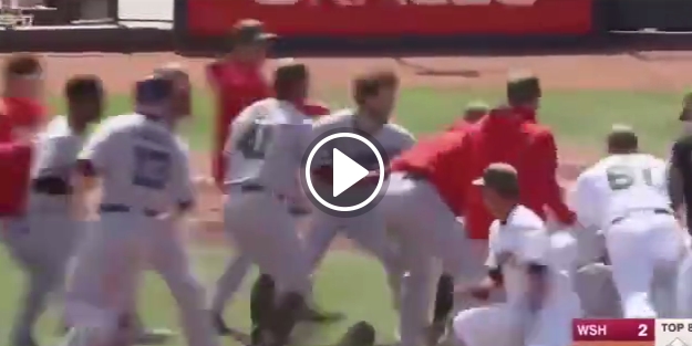 Beyzbol maçı boksa dönüştü!