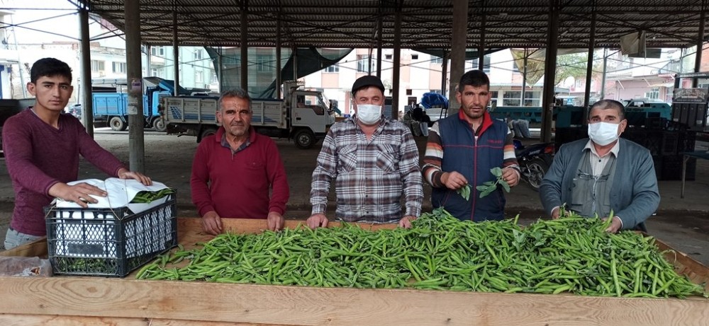 Bezelyeyi soğuk vurdu 