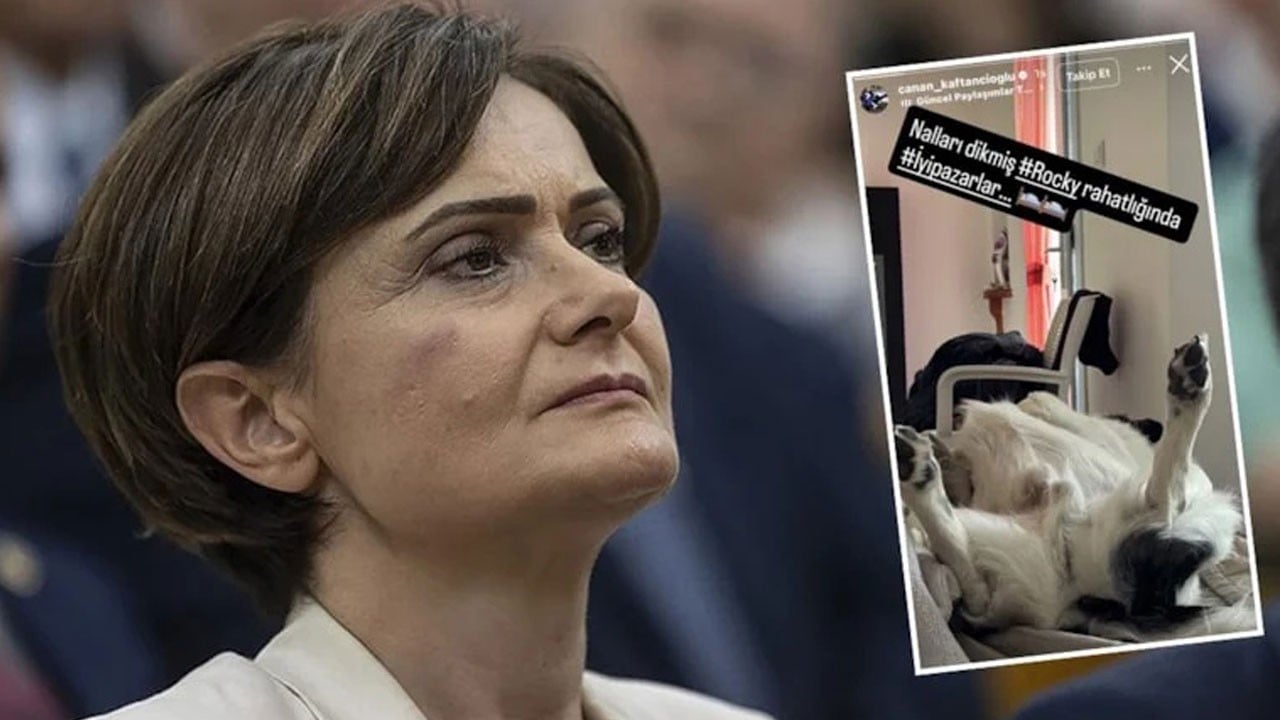 Biber gazından CHP Genel merkezinde göz gözü görmezken 'Domuzcu Canan’dan köpekli paylaşım: Nalları dikmiş Rocky..!