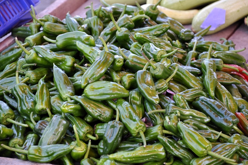 Biberin fiyatı dudak uçuklatıyor 