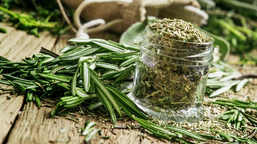 Biberiye faydaları | Biberiyenin kullanım alanları (çayı, otu, yağı)