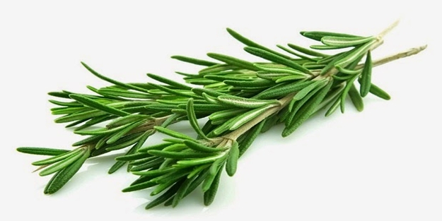 Biberiye birçok rahatsızlığa iyi geliyor